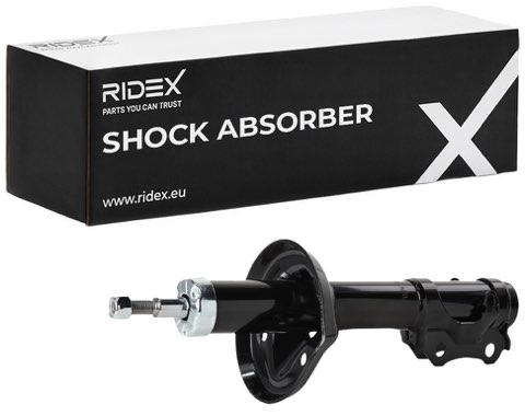 Ridex 854S18216 Shock Absorber
