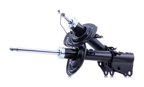 Ridex 854S18224 Shock Absorber