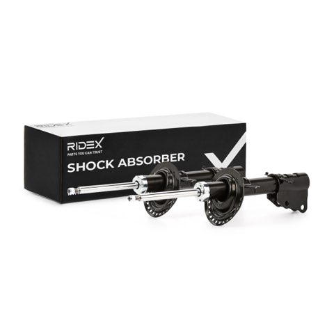 Ridex 854S18224 Shock Absorber, photo 2