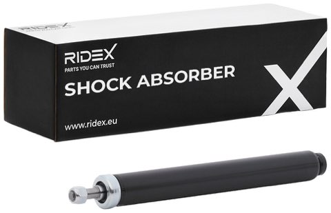 Ridex 854S18249 Shock Absorber