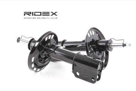 Ridex 854S1825 Shock Absorber