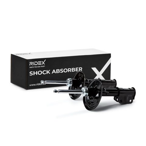 Ridex 854S1825 Shock Absorber, photo 2