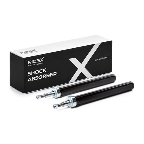 Ridex 854S18251 Shock Absorber
