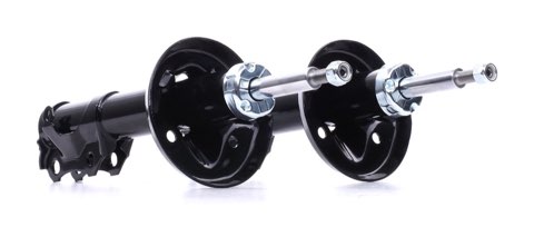 Ridex 854S18273 Shock Absorber