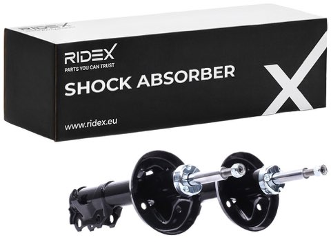 Ridex 854S18273 Shock Absorber, photo 2