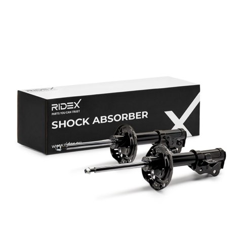 Ridex 854S1838 Shock Absorber, photo 2