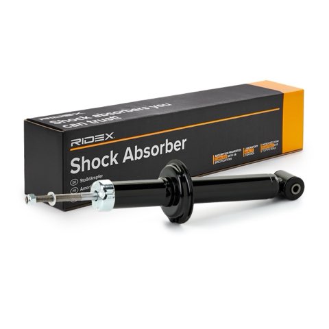 Ridex 854S18381 Shock Absorber, photo 2