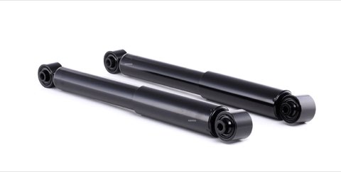 Ridex 854S1839 Shock Absorber