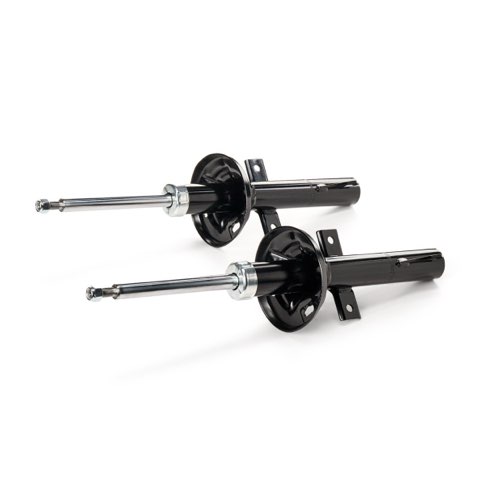 Ridex 854S18406 Shock Absorber, photo 2