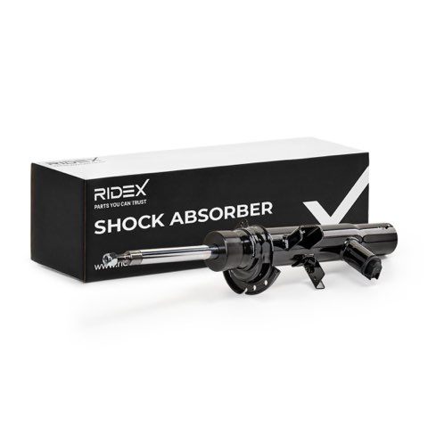 Ridex 854S18418 Shock Absorber