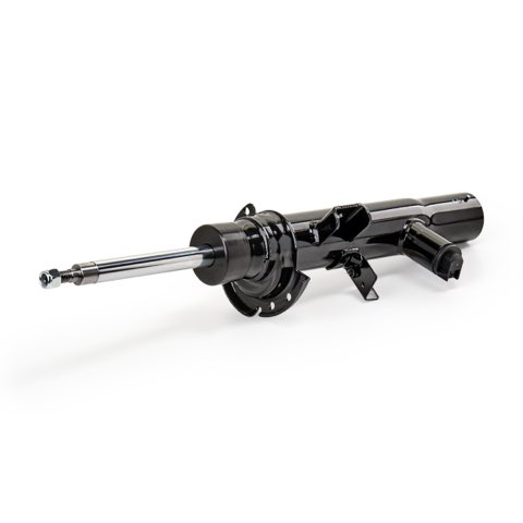 Ridex 854S18418 Shock Absorber, photo 2