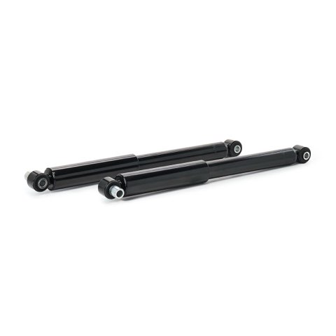 Ridex 854S18431 Shock Absorber, photo 2