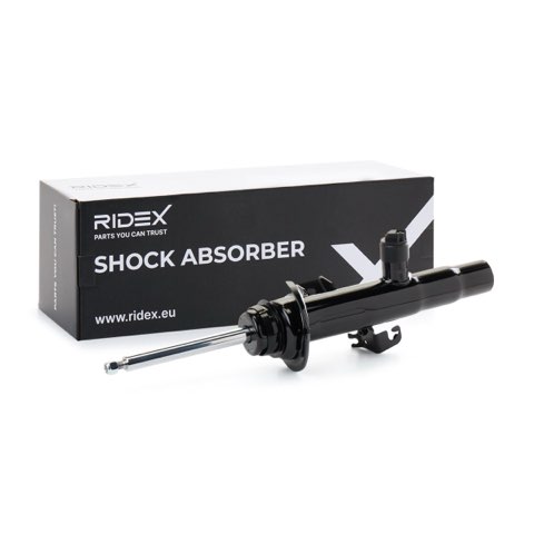 Ridex 854S18456 Shock Absorber