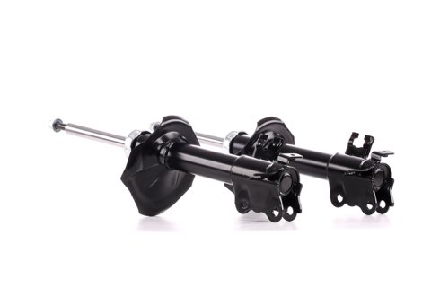 Ridex 854S1846 Shock Absorber