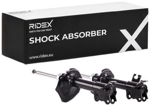 Ridex 854S1846 Shock Absorber, photo 2