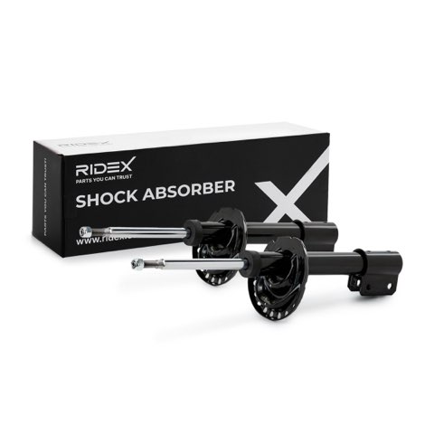 Ridex 854S18557 Shock Absorber