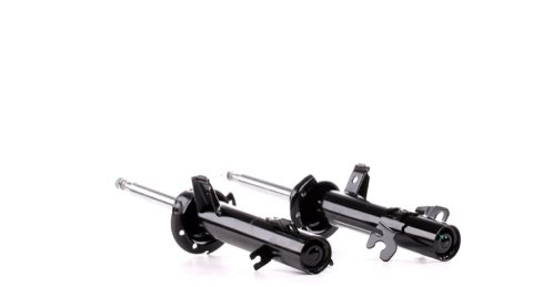 Ridex 854S1856 Shock Absorber