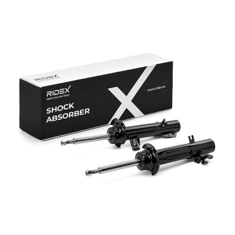 Ridex 854S1856 Shock Absorber, photo 2
