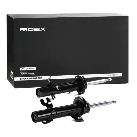 Ridex 854S1856 Shock Absorber, photo 3