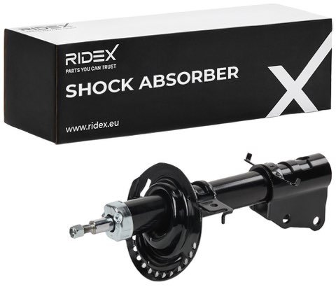 Ridex 854S18579 Shock Absorber