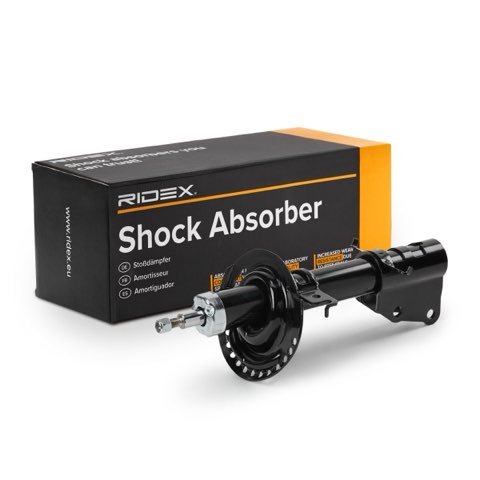 Ridex 854S18579 Shock Absorber, photo 2