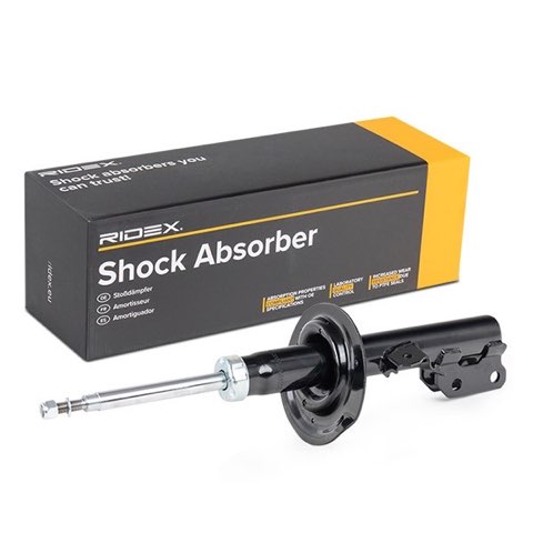 Ridex 854S1858 Shock Absorber, photo 3