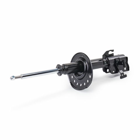 Ridex 854S18580 Shock Absorber, photo 2