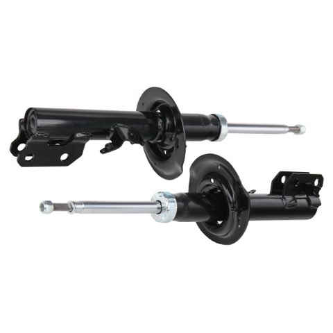 Ridex 854S1859 Shock Absorber, photo 2