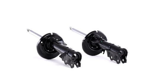 Ridex 854S1862 Shock Absorber