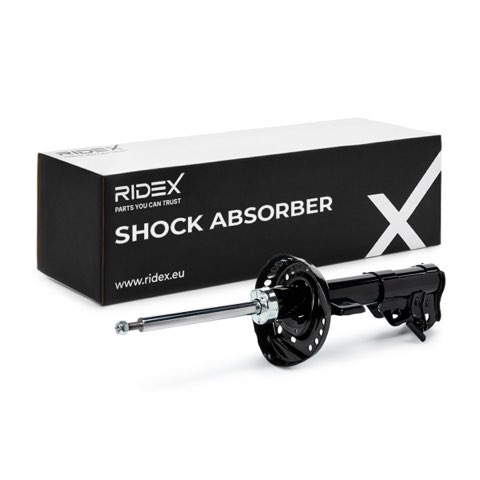 Ridex 854S18643 Shock Absorber