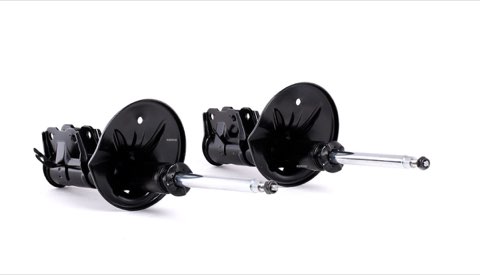 Ridex 854S1870 Shock Absorber