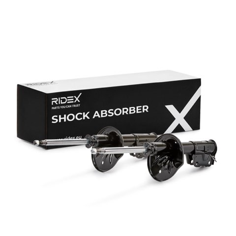 Ridex 854S1870 Shock Absorber, photo 2