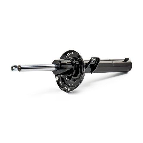 Ridex 854S18754 Shock Absorber, photo 2