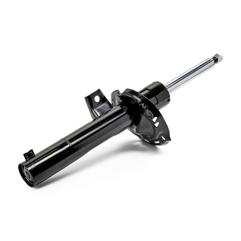Ridex 854S18754 Shock Absorber, photo 3