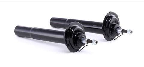 Ridex 854S1876 Shock Absorber