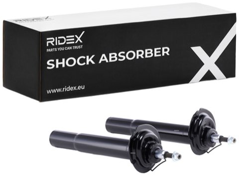 Ridex 854S1876 Shock Absorber, photo 2