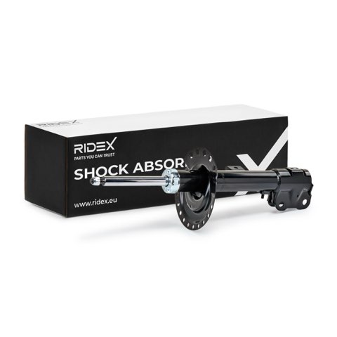 Ridex 854S18768 Shock Absorber
