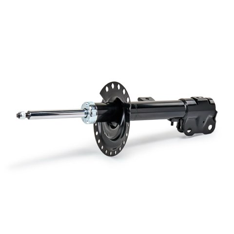 Ridex 854S18768 Shock Absorber, photo 2