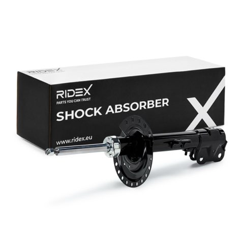 Ridex 854S18769 Shock Absorber