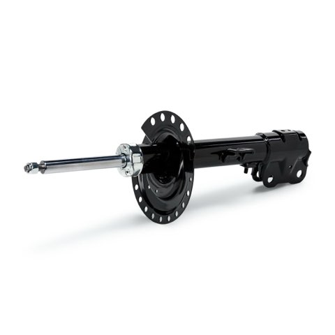 Ridex 854S18769 Shock Absorber, photo 2