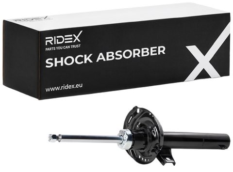 Ridex 854S18784 Shock Absorber