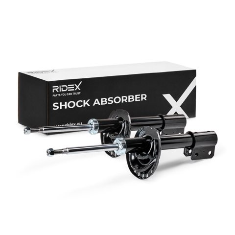 Ridex 854S18786 Shock Absorber