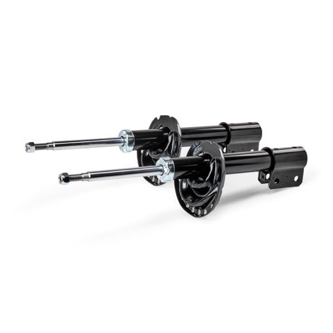 Ridex 854S18786 Shock Absorber, photo 2