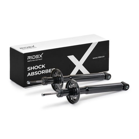 Ridex 854S18821 Shock Absorber