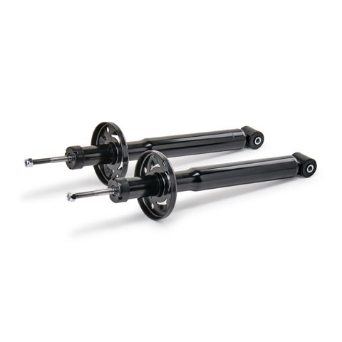 Ridex 854S18821 Shock Absorber, photo 2