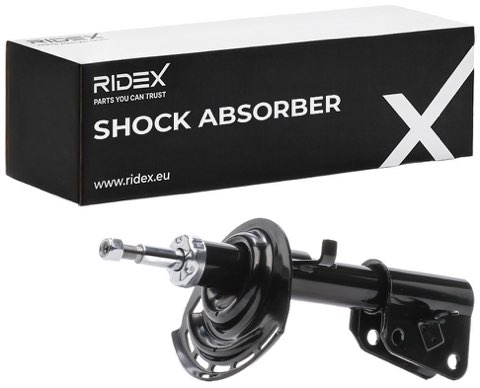 Ridex 854S18831 Shock Absorber, photo 2