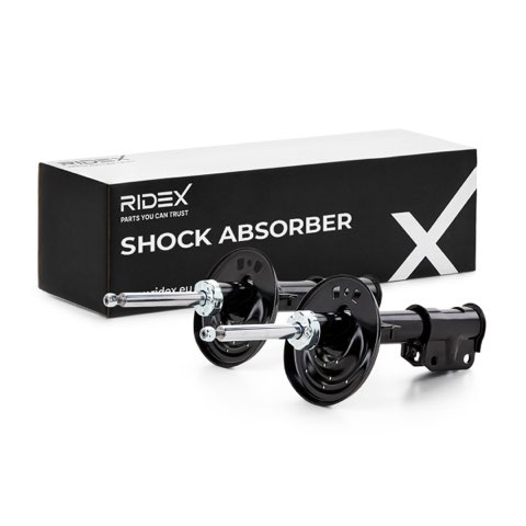 Ridex 854S18915 Shock Absorber