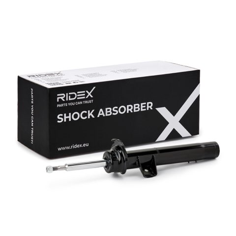 Ridex 854S18953 Shock Absorber