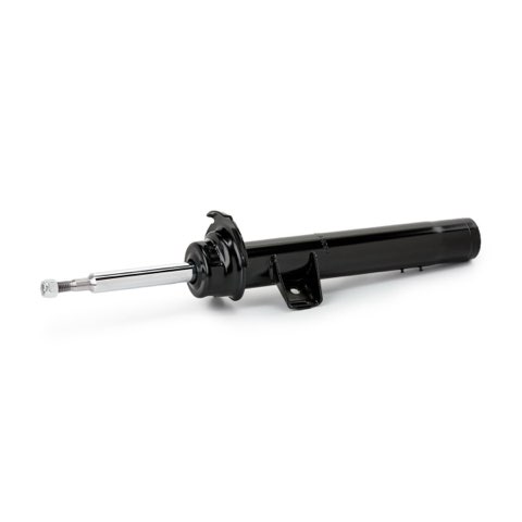 Ridex 854S18953 Shock Absorber, photo 2
