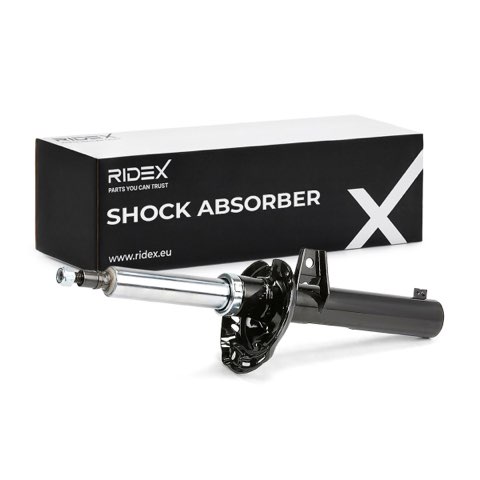 Ridex 854S18961 Shock Absorber